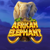 African Elephant icon